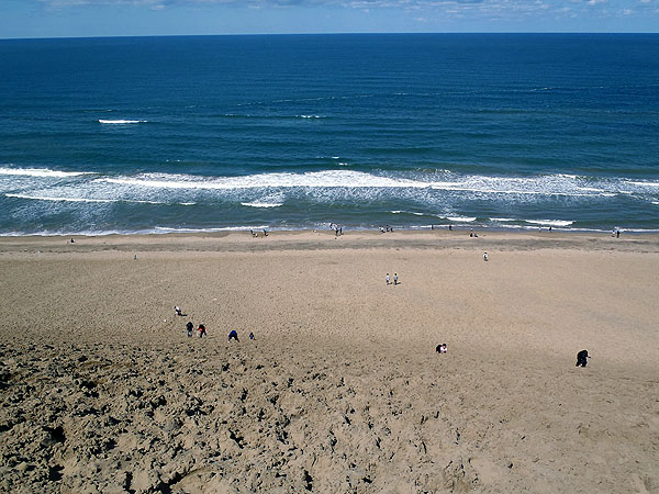 鳥取砂丘の景色